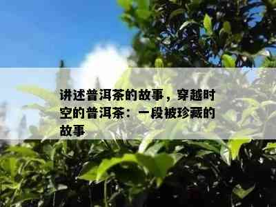 讲述普洱茶的故事，穿越时空的普洱茶：一段被珍藏的故事