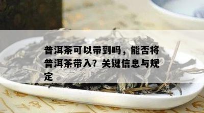 普洱茶可以带到吗，能否将普洱茶带入？关键信息与规定