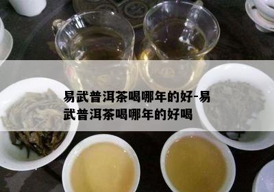 易武普洱茶喝哪年的好-易武普洱茶喝哪年的好喝