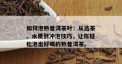 如何泡熟普洱茶叶：从选茶、水质到冲泡技巧，让你轻松泡出好喝的熟普洱茶。