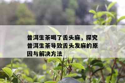 普洱生茶喝了舌头麻，探究普洱生茶导致舌头发麻的原因与解决方法