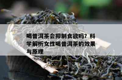 喝普洱茶会抑制食欲吗？科学解析女性喝普洱茶的效果与原理