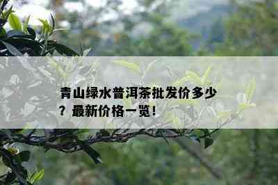 青山绿水普洱茶批发价多少？最新价格一览！