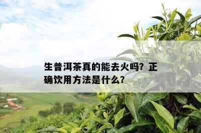 生普洱茶真的能去火吗？正确饮用方法是什么？