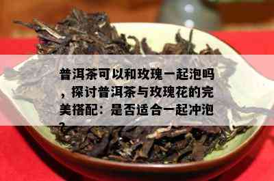 普洱茶可以和玫瑰一起泡吗，探讨普洱茶与玫瑰花的完美搭配：是否适合一起冲泡？