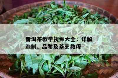 普洱茶教学视频大全：详解泡制、品鉴及茶艺教程