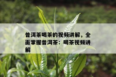 普洱茶喝茶的视频讲解，全面掌握普洱茶：喝茶视频讲解