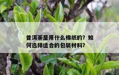 普洱茶是用什么棉纸的？如何选择适合的包装材料？