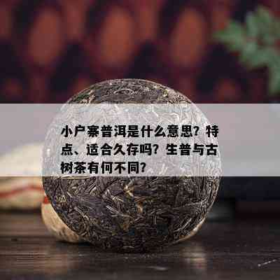 小户寨普洱是什么意思？特点、适合久存吗？生普与古树茶有何不同？