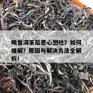 喝普洱茶后恶心想吐？如何缓解？原因与解决方法全解析！