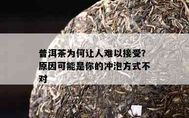 普洱茶为何让人难以接受？原因可能是你的冲泡方式不对