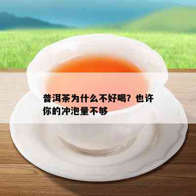 普洱茶为什么不好喝？也许你的冲泡量不够