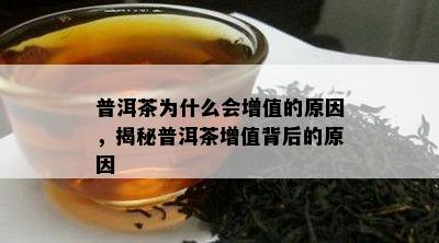 普洱茶为什么会增值的原因，揭秘普洱茶增值背后的原因