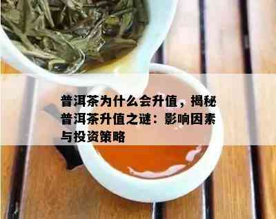 普洱茶为什么会升值，揭秘普洱茶升值之谜：影响因素与投资策略