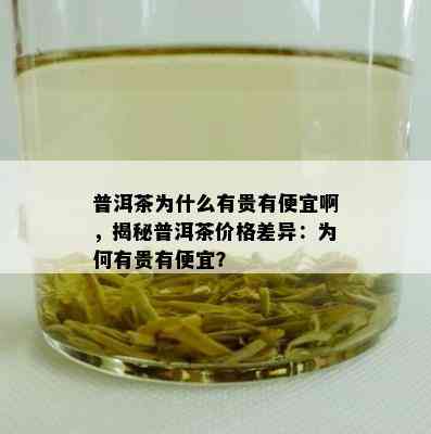 普洱茶为什么有贵有便宜啊，揭秘普洱茶价格差异：为何有贵有便宜？