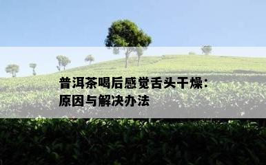 普洱茶喝后感觉舌头干燥：原因与解决办法