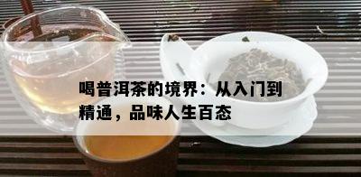 喝普洱茶的境界：从入门到精通，品味人生百态