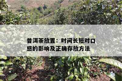 普洱茶放置：时间长短对口感的影响及正确存放方法