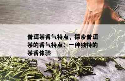 普洱茶香气特点，探索普洱茶的香气特点：一种独特的茶香体验