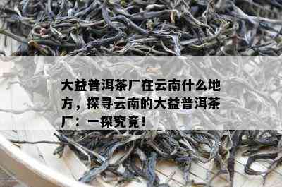 大益普洱茶厂在云南什么地方，探寻云南的大益普洱茶厂：一探究竟！