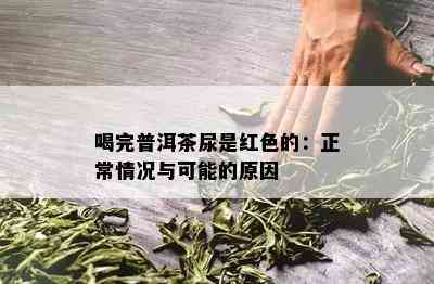 喝完普洱茶尿是红色的：正常情况与可能的原因