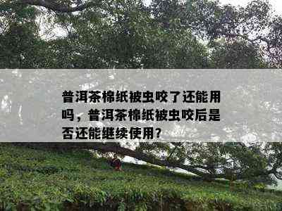 普洱茶棉纸被虫咬了还能用吗，普洱茶棉纸被虫咬后是否还能继续使用？