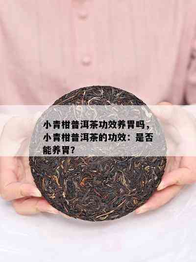 小青柑普洱茶功效养胃吗，小青柑普洱茶的功效：是否能养胃？