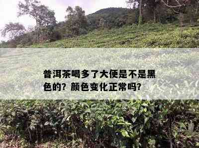 普洱茶喝多了大便是不是黑色的？颜色变化正常吗？