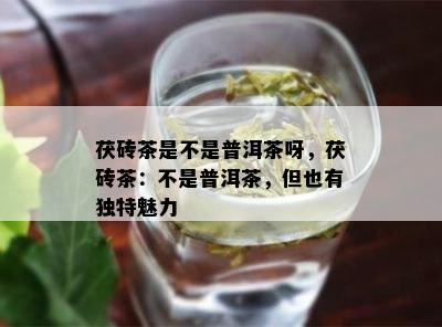 茯砖茶是不是普洱茶呀，茯砖茶：不是普洱茶，但也有独特魅力