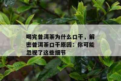 喝完普洱茶为什么口干，解密普洱茶口干原因：你可能忽视了这些细节