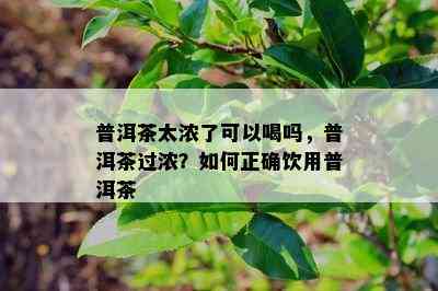 普洱茶太浓了可以喝吗，普洱茶过浓？如何正确饮用普洱茶