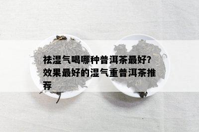 祛湿气喝哪种普洱茶更好？效果更好的湿气重普洱茶推荐