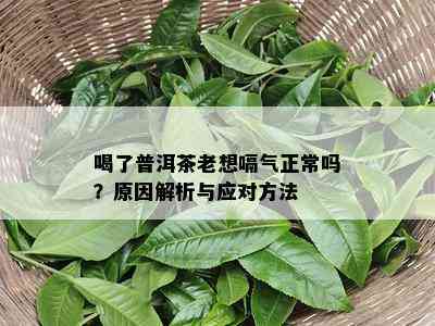 喝了普洱茶老想嗝气正常吗？原因解析与应对方法