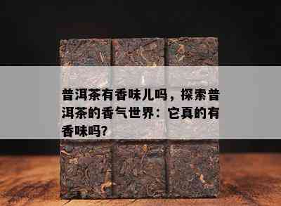 普洱茶有香味儿吗，探索普洱茶的香气世界：它真的有香味吗？