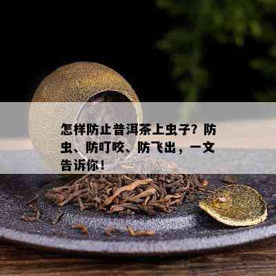 怎样防止普洱茶上虫子？防虫、防叮咬、防飞出，一文告诉你！