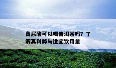 高尿酸可以喝普洱茶吗？了解其利弊与适宜饮用量