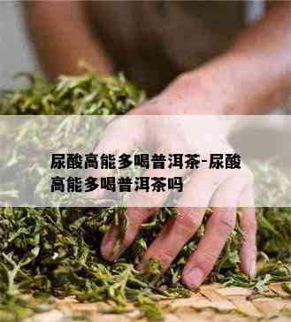 尿酸高能多喝普洱茶-尿酸高能多喝普洱茶吗