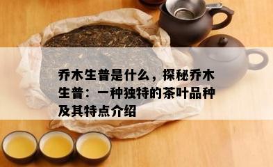 乔木生普是什么，探秘乔木生普：一种独特的茶叶品种及其特点介绍