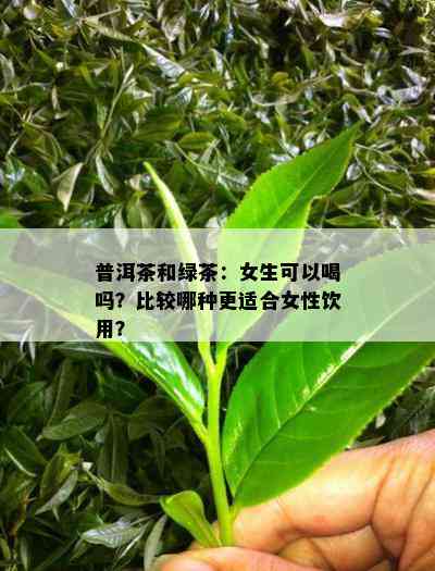 普洱茶和绿茶：女生可以喝吗？比较哪种更适合女性饮用？