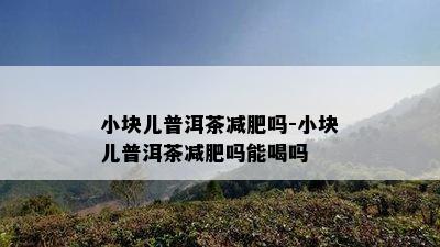 小块儿普洱茶减肥吗-小块儿普洱茶减肥吗能喝吗