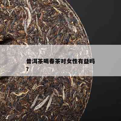 普洱茶喝春茶对女性有益吗？