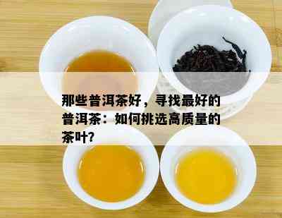 那些普洱茶好，寻找更好的普洱茶：如何挑选高质量的茶叶？