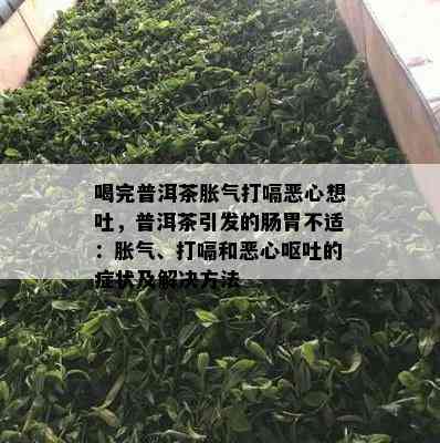 喝完普洱茶胀气打嗝恶心想吐，普洱茶引发的肠胃不适：胀气、打嗝和恶心呕吐的症状及解决方法