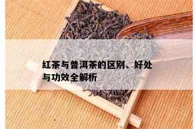 红茶与普洱茶的区别、好处与功效全解析