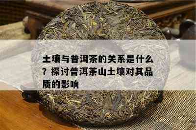 土壤与普洱茶的关系是什么？探讨普洱茶山土壤对其品质的影响