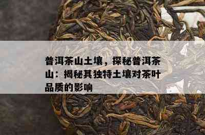 普洱茶山土壤，探秘普洱茶山：揭秘其独特土壤对茶叶品质的影响