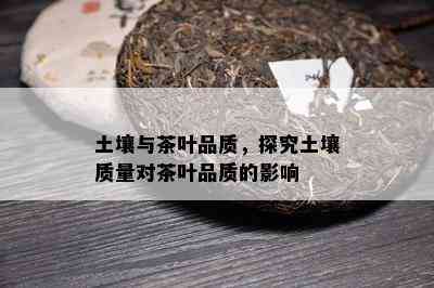 土壤与茶叶品质，探究土壤质量对茶叶品质的影响