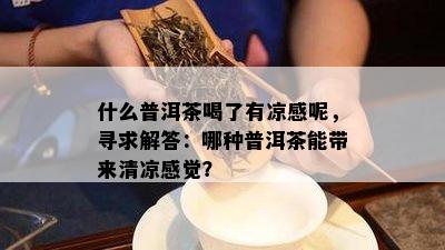 什么普洱茶喝了有凉感呢，寻求解答：哪种普洱茶能带来清凉感觉？