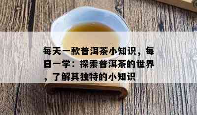 每天一款普洱茶小知识，每日一学：探索普洱茶的世界，了解其独特的小知识