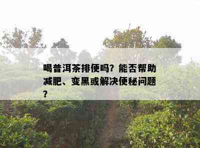 喝普洱茶排便吗？能否帮助减肥、变黑或解决便秘问题？